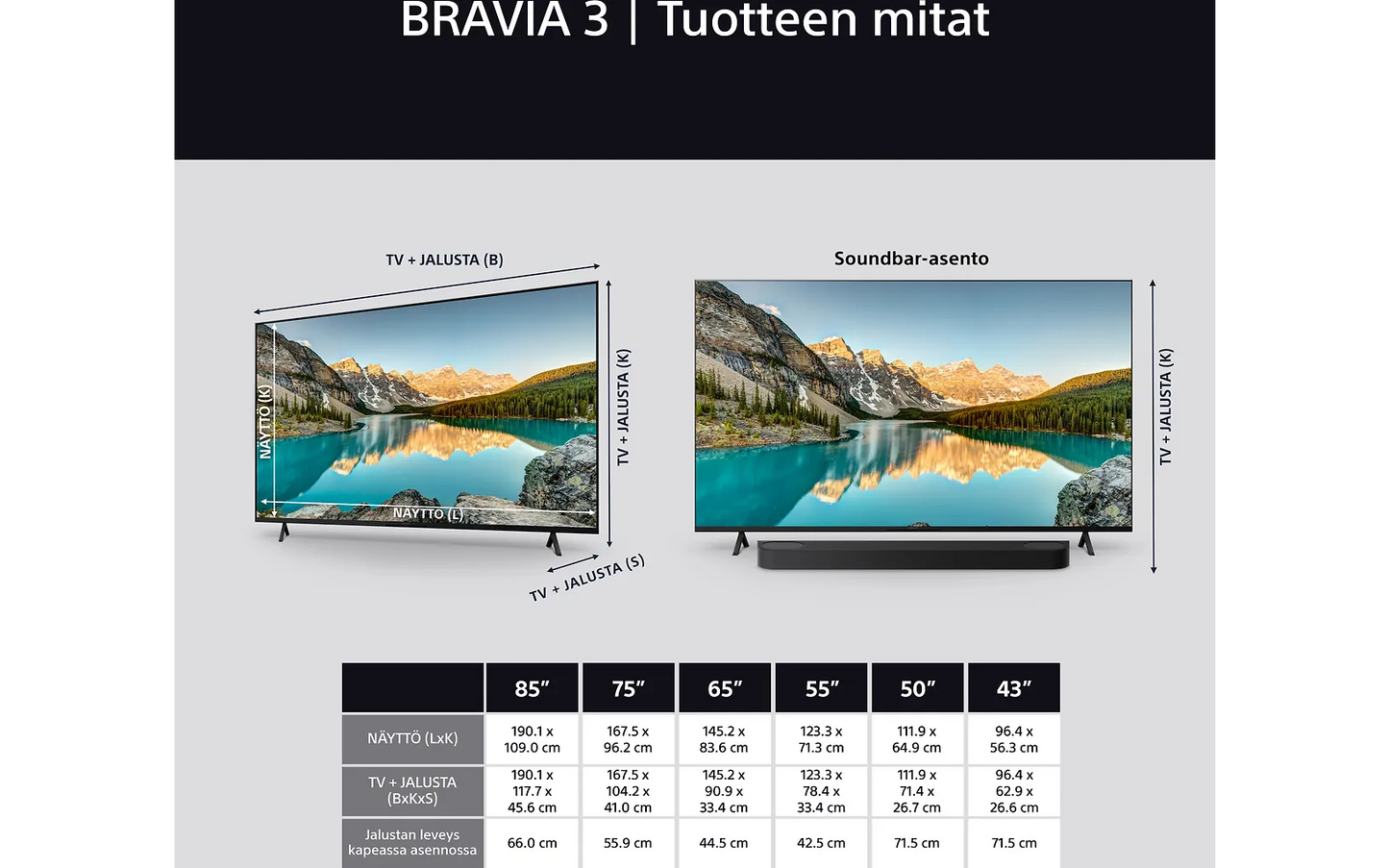 Sony 43" Bravia 3 – 4K LED Google TV